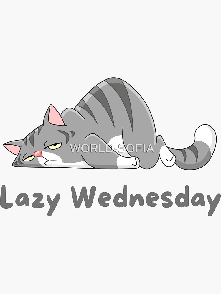 "Lazy Wednesday Funny Cat Lazy Cat Lazy Gray Gray Cat Sleeping Cat Cute