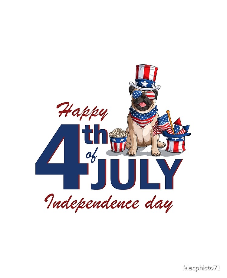 Pug Dog USA America Flag July 4th Independence Day iPad Case & Skin by  Macphisto71