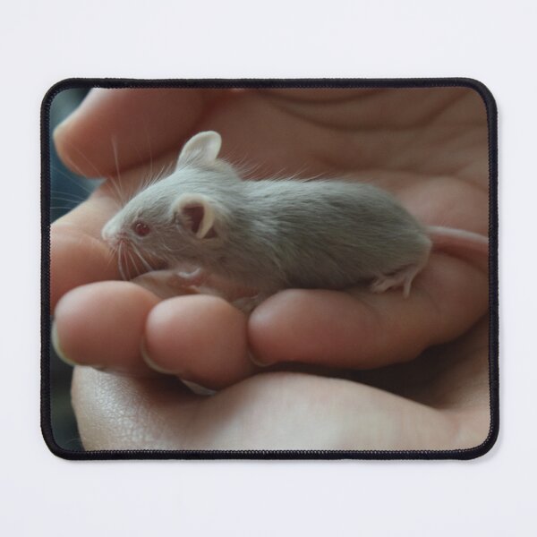 Item preview, Mouse in hand 1 designed and sold by Furiarossa.