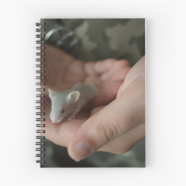 Item preview, Mouse in hand 2 designed and sold by Furiarossa.