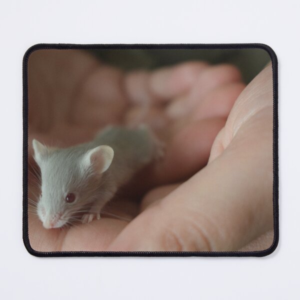 Item preview, Mouse in hand 2 designed and sold by Furiarossa.