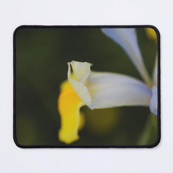 Item preview, Over Dutch Iris Oriental Beauty designed and sold by Joy Watson - Natural Light Photography .