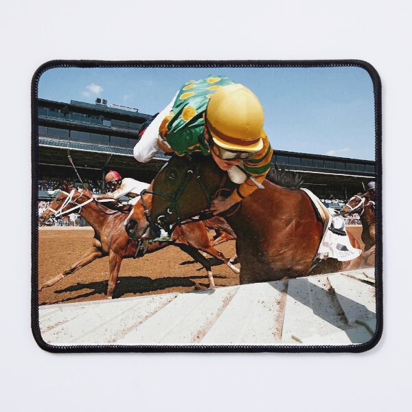 Item preview, Julien Leparoux flies off Sanibel Storm designed and sold by Lewis Spragg.
