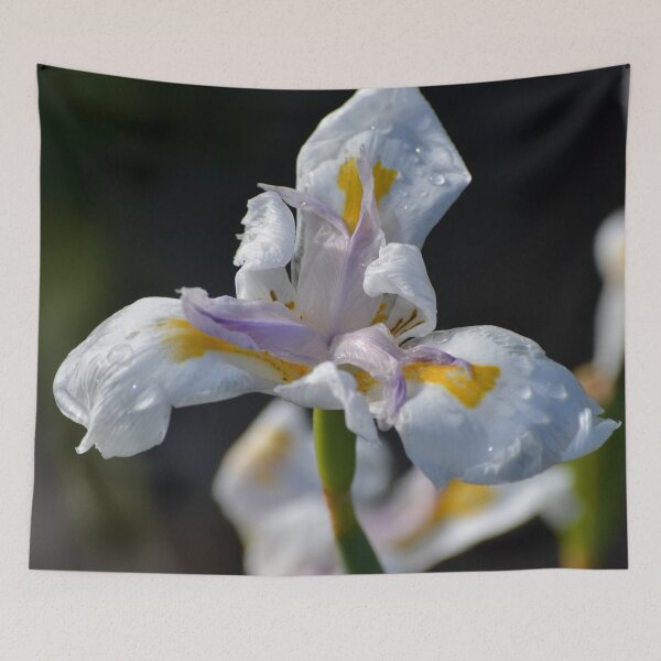 Item preview, Flower in the car park two designed and sold by lizdomett.