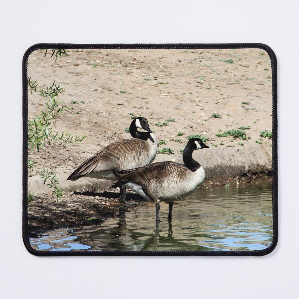 Item preview, You Go First, No...You Go!! designed and sold by heatherfriedman.