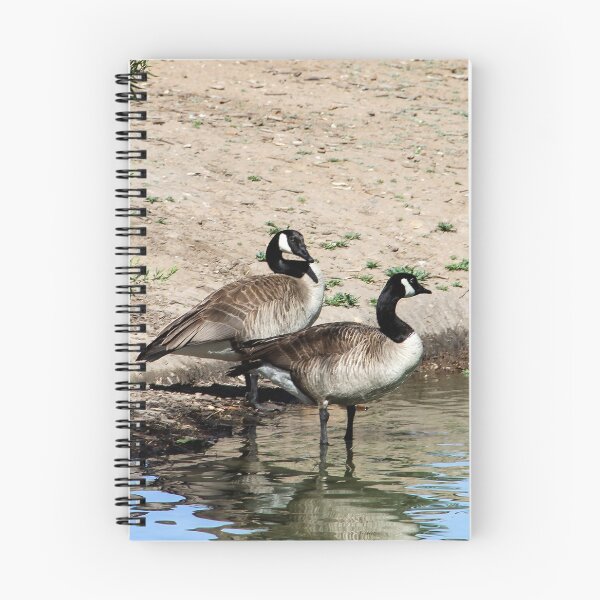 Item preview, You Go First, No...You Go!! designed and sold by heatherfriedman.
