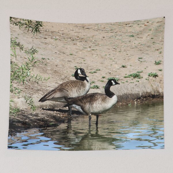 Item preview, You Go First, No...You Go!! designed and sold by heatherfriedman.