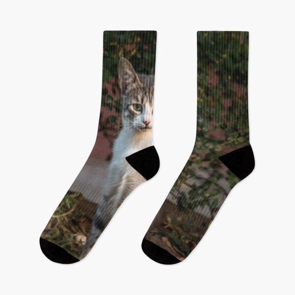 Item preview, Cat look in something designed and sold by Ivan Šanjug.