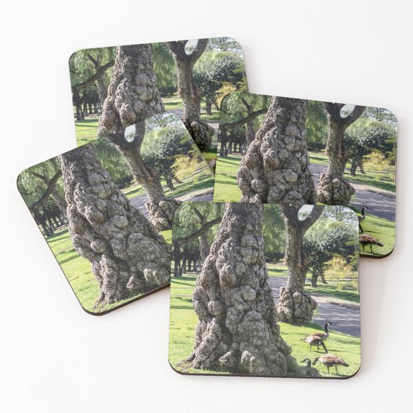 Item preview, Pepper Trees at Lindo Lake Park designed and sold by heatherfriedman.