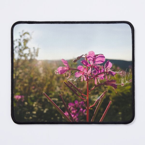 Item preview, Pink Wildflower on a Sunny Summer Day designed and sold by katiamelnik.