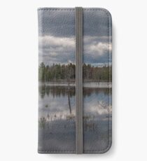 Silvery Reflections iPhone Wallet/Case/Skin