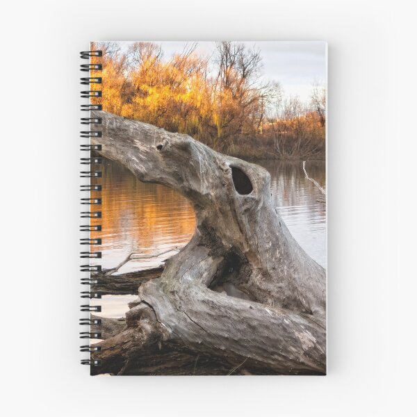 Item preview, Lake  Burley Griffin (Canberra/ACT/Australia) (2) designed and sold by Wolf Sverak Photography.