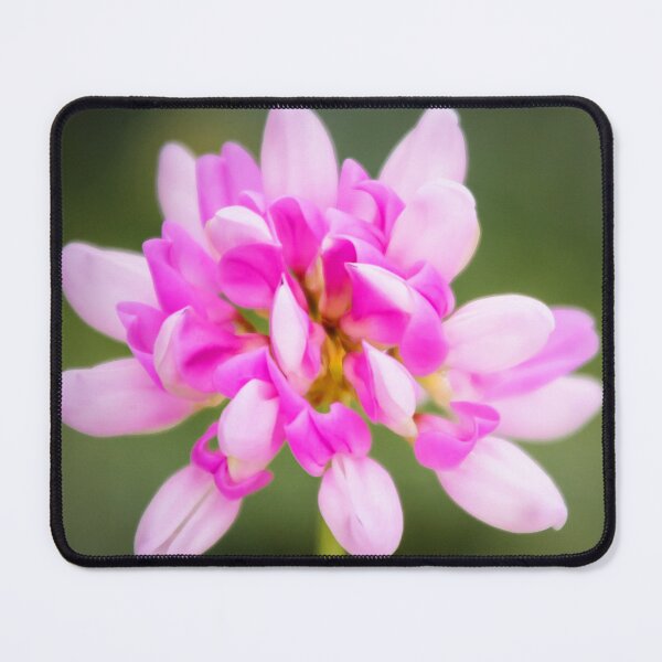 Item preview, Crown Vetch designed and sold by JEZ22.