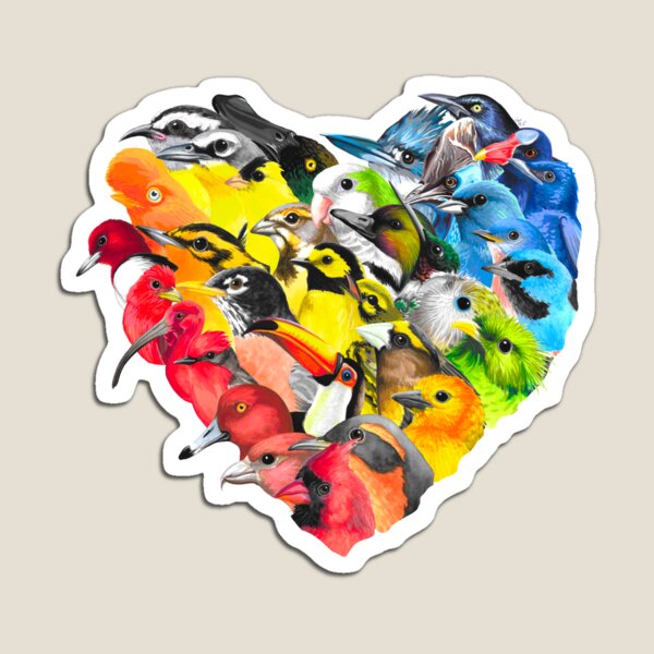 ACLU Fundraiser Rainbow Bird Heart Magnet