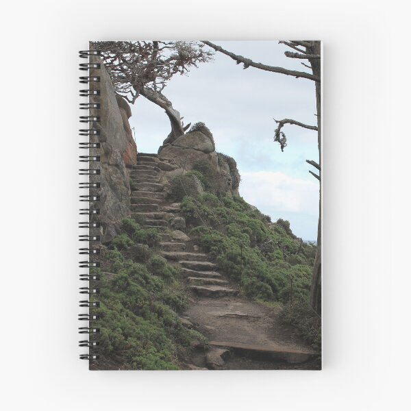 Item preview, Point Lobos State Park designed and sold by roguefaerie.