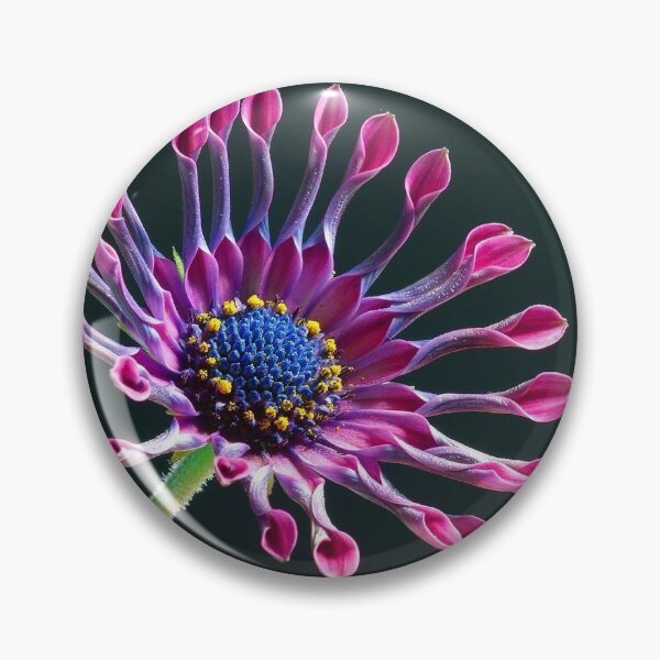 Item preview, Entropic Beauty  designed and sold by DanzelD.