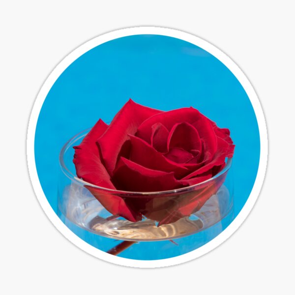 Red rose and blue water Sticker