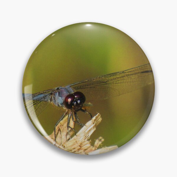 Item preview, Blue Dragonfly designed and sold by Ally Lukehart-Hamil.
