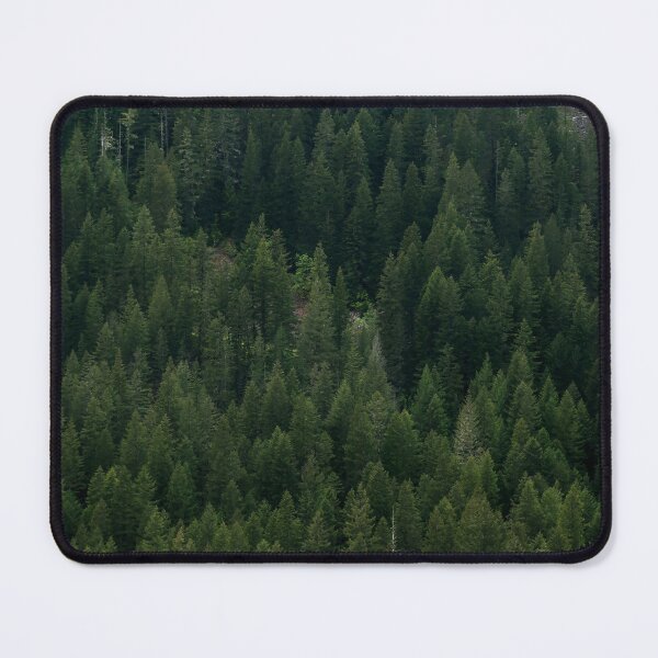 Item preview, The Evergreen State designed and sold by Daniel Holtmeyer.