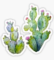 Blooming Watercolor Prickly Pear Cactus Sticker