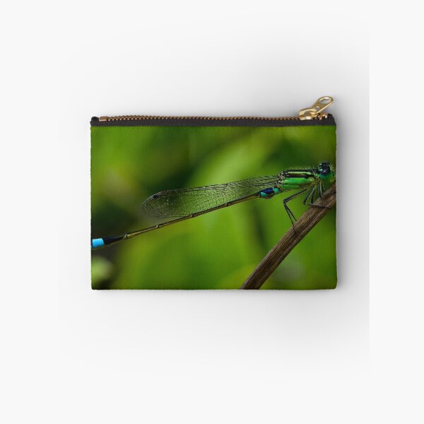 Artikelvorschau, Damselfly, March Bluetail. (Ischnura senegalensis) entworfen und verkauft von Deborah V Townsend.
