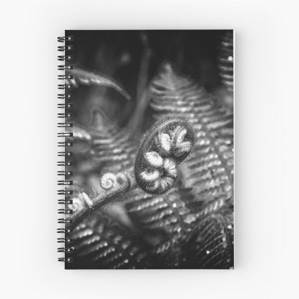 Item preview, Unfurling Fern designed and sold by Claire Walsh.