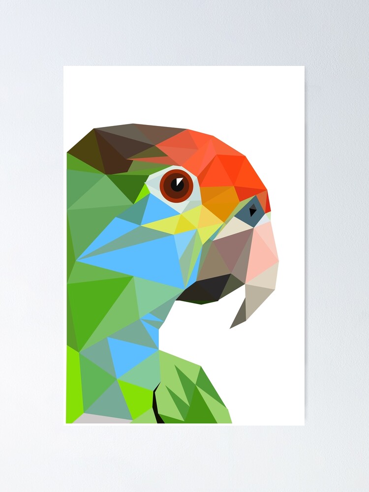 "Amazon parrot, Brazilian birds" Poster for Sale by villavera Redbubble
