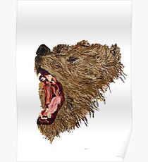 Roary Bear Poster