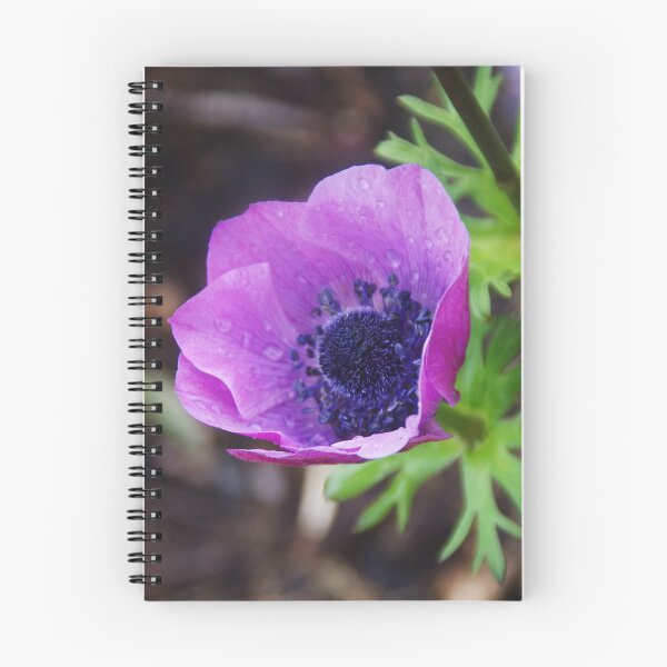 Item preview, Anemone With Raindrops designed and sold by lezvee.