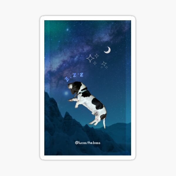 Produits Sur Le Theme Chien Qui Ronfle Redbubble
