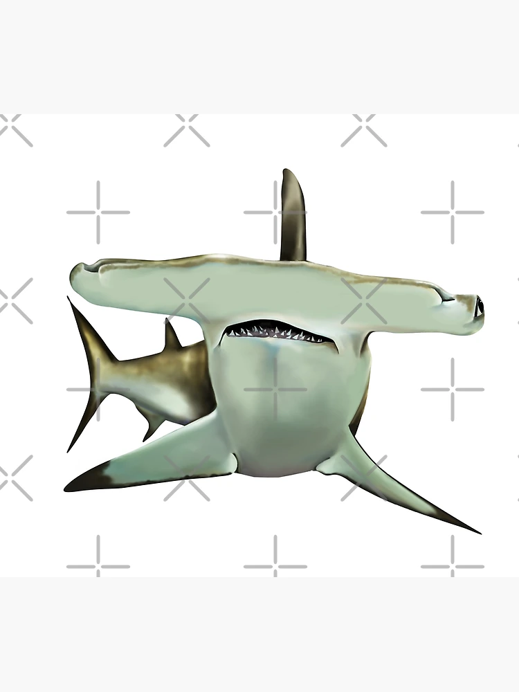 SHARK ポスター Amazon.co.jp: JAWS ジョーズ - SHARK/ポスター 【公式