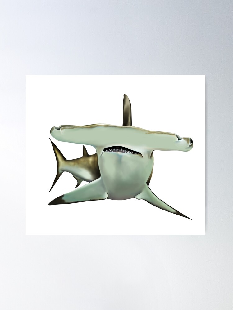 Amazon.co.jp: JAWS ジョーズ - SHARK/ポスター 【公式