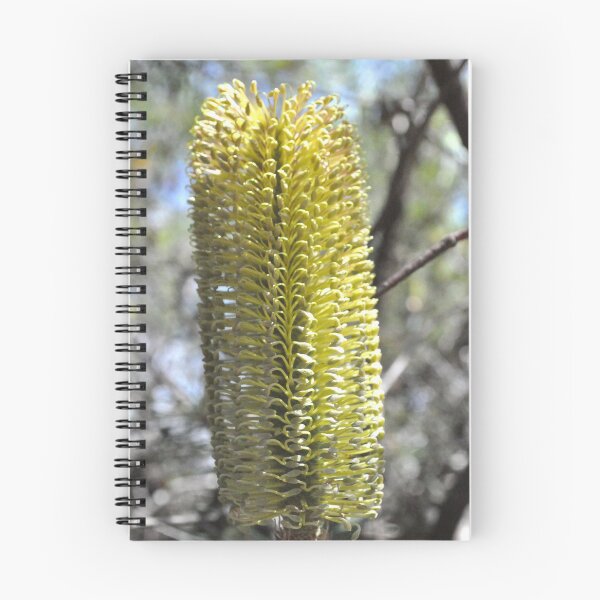 Item preview, A Callistemon is a bottlebrush to me designed and sold by Kerry LeBoutillier.