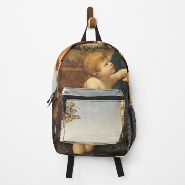 Item preview, La Belle Jardinière (1507) by Rafael designed and sold by ArtHistoryLover.