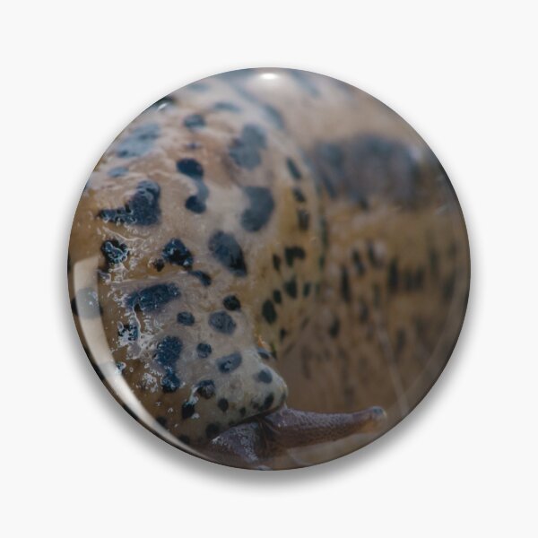 Item preview, Slimy Black Spotted Slug designed and sold by Bill Spengler's Photographic Thoughts.