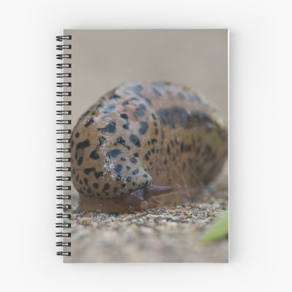 Item preview, Slimy Black Spotted Slug designed and sold by Bill Spengler's Photographic Thoughts.