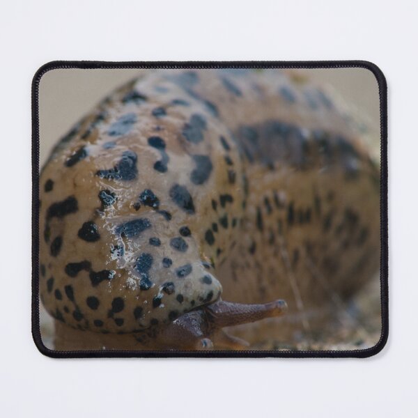 Item preview, Slimy Black Spotted Slug designed and sold by Bill Spengler's Photographic Thoughts.