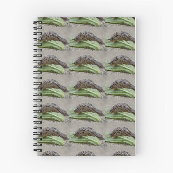 Item preview, Slug Crawls Over a Leaf designed and sold by Bill Spengler's Photographic Thoughts.