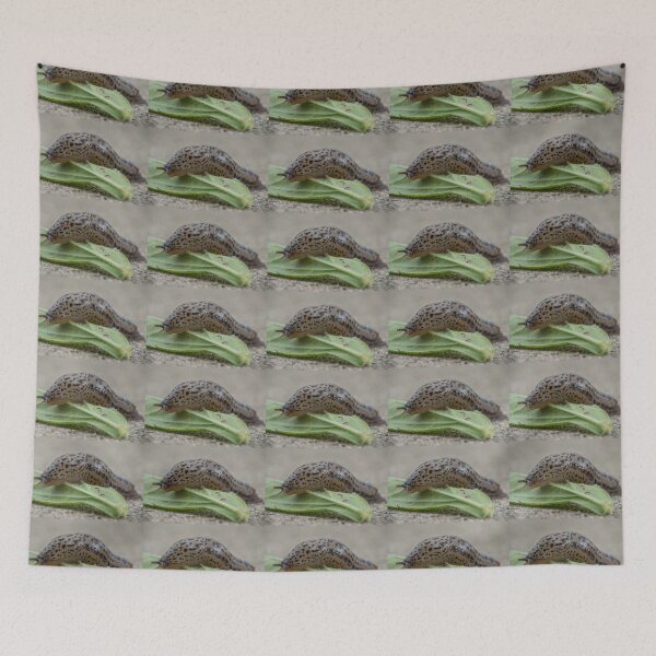 Item preview, Slug Crawls Over a Leaf designed and sold by Bill Spengler's Photographic Thoughts.