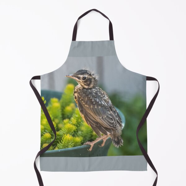 Item preview, American Robin Fledgling - Just Left the Nest designed and sold by Debra Martz.