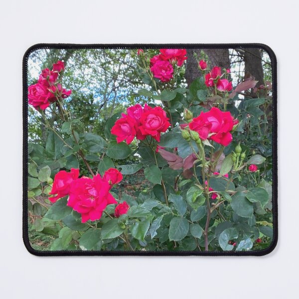 Item preview, Roses on the Hill designed and sold by Izayo-Darke1.