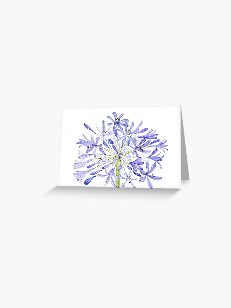 Tarjetas de felicitación «acuarela de lirio africano azul púrpura» de  ColorandColor | Redbubble