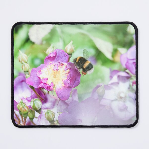 Item preview, Looking - A View designed and sold by Carl Gaynor.