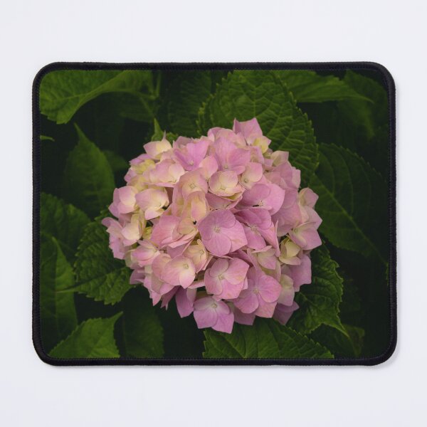 Item preview, Pink flower amongst the greenery designed and sold by TheNinthMemory.