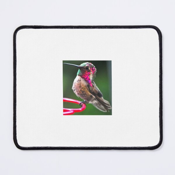 Item preview, HANDSOME MALE HUMMINGBIRD SITTING 9N BIRD FEEDER designed and sold by JAYMILO.