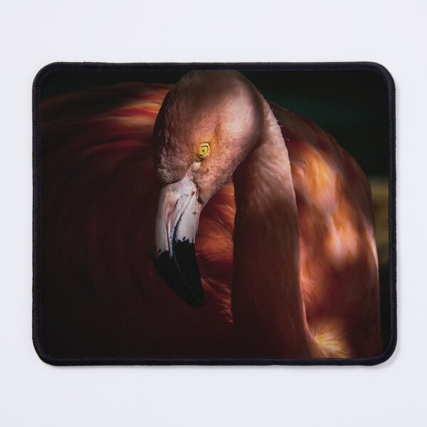 Item preview, The Flamingo, Photography designed and sold by DegoPine Art Studio.