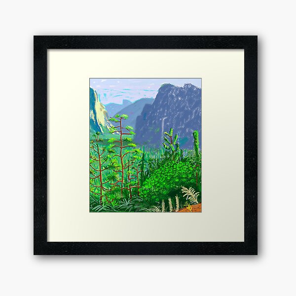 David Hockney Framed Art Print