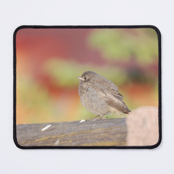 Item preview, redstart bird designed and sold by Kozachenko.