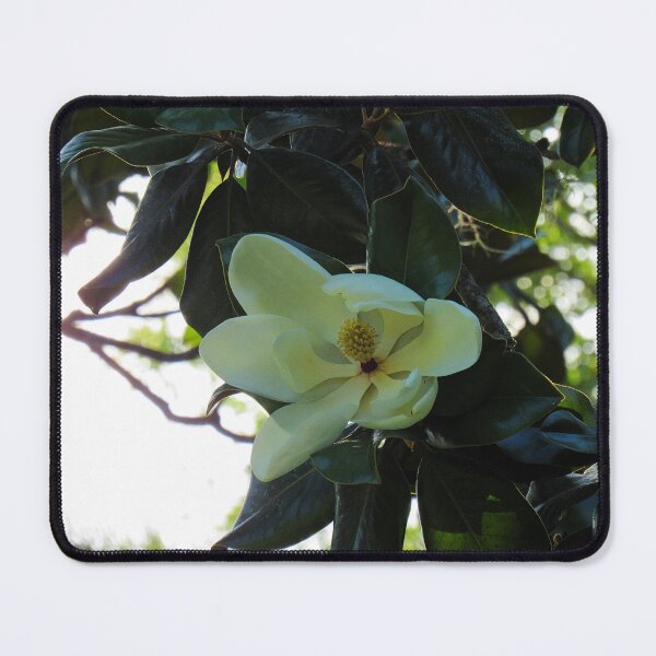 Item preview, Magnolia designed and sold by Ally Lukehart-Hamil.