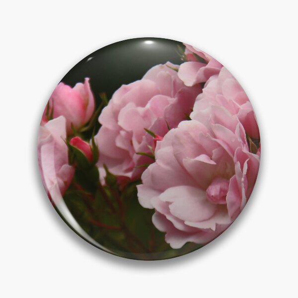 Item preview, Pink Roses... designed and sold by Poete100.